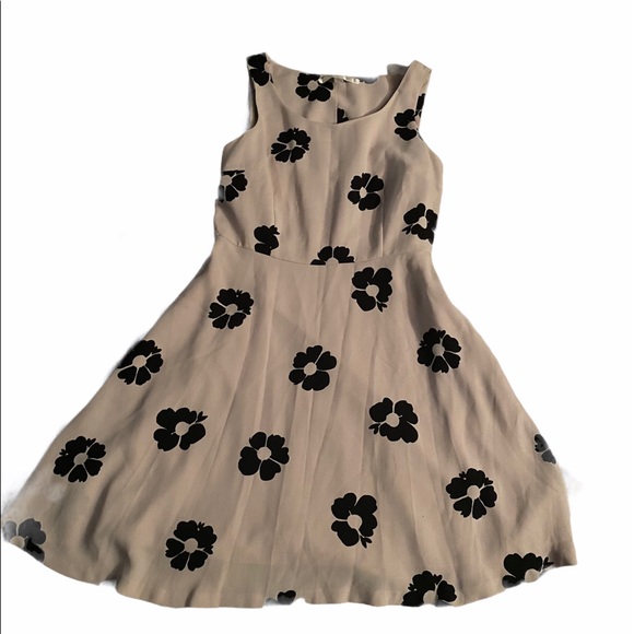 Lauren Conrad Beige Dress with Black Floral Print - Picture 3 of 13